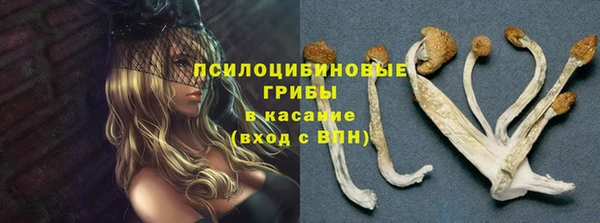 гашиш Аркадак