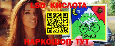 прущие грибы Шебекино