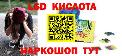 прущие грибы Шебекино