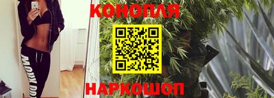 прущие грибы Шебекино