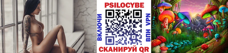 купить  цена  Балашиха  Псилоцибиновые грибы GOLDEN TEACHER 