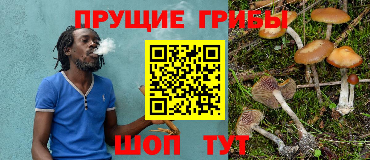 Псилоцибиновые грибы Magic Shrooms Балашиха