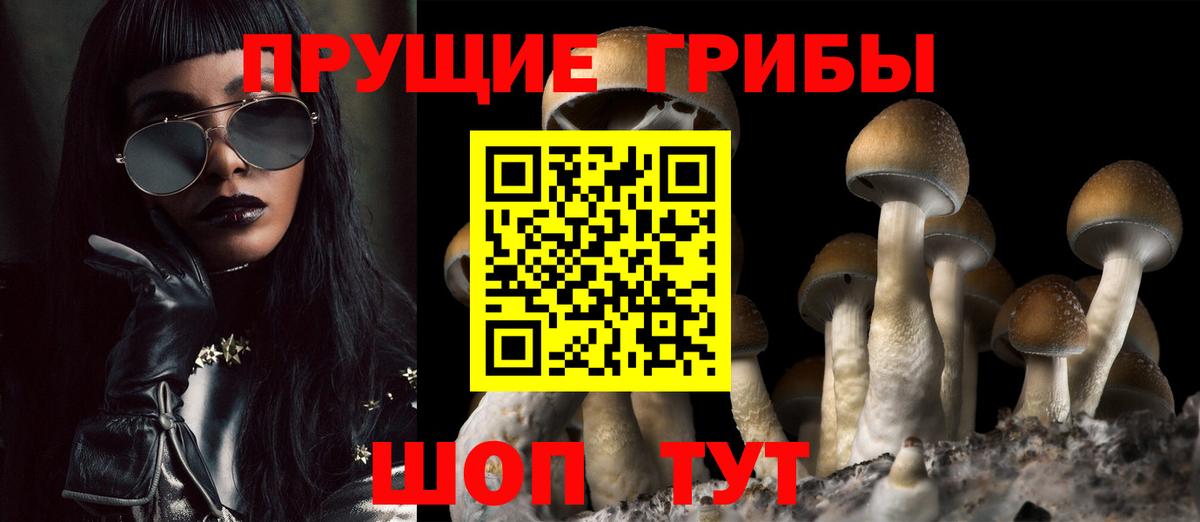 Галлюциногенные грибы Magic Shrooms  Вход с VPN  Балашиха 